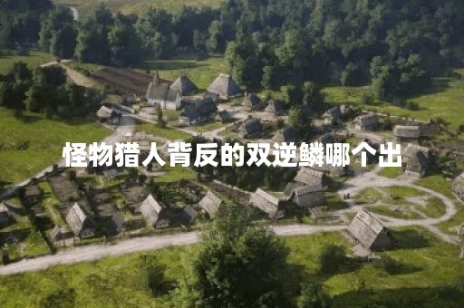 怪物猎人背反的双逆鳞哪个出