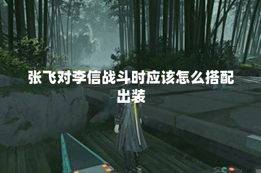 张飞对李信战斗时应该怎么搭配出装？李信面对张飞时又该如何选择装备？