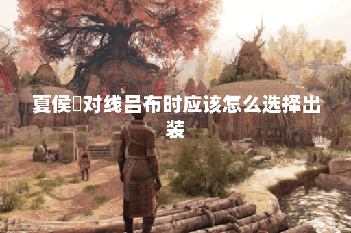 夏侯惇对线吕布时应该怎么选择出装？吕布对线夏侯惇时出装策略是什么？