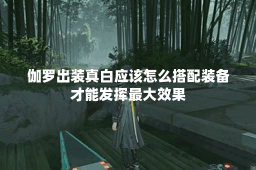 伽罗出装真白应该怎么搭配装备才能发挥最大效果？