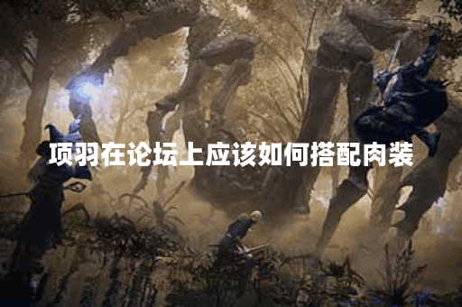 项羽在论坛上应该如何搭配肉装？