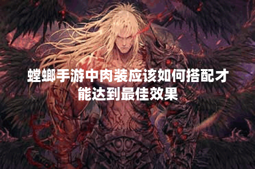 螳螂手游中肉装应该如何搭配才能达到最佳效果？