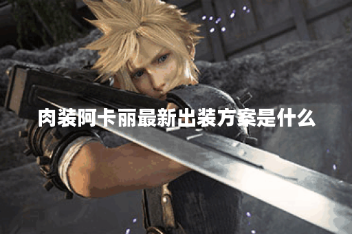 肉装阿卡丽最新出装方案是什么？如何搭配肉装提升阿卡丽战斗力？