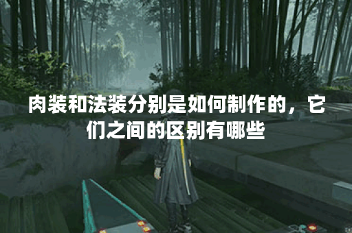 肉装和法装分别是如何制作的，它们之间的区别有哪些？
