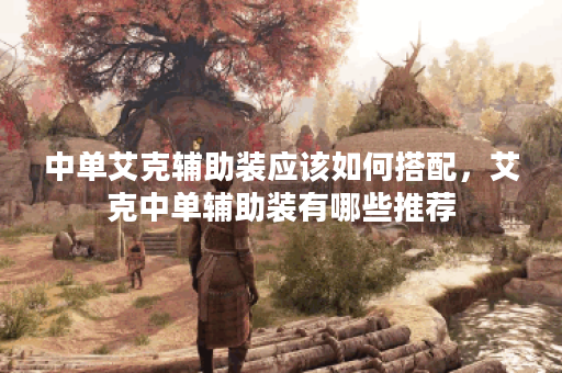 中单艾克辅助装应该如何搭配，艾克中单辅助装有哪些推荐？