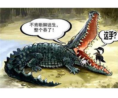 鳄鱼出装有哪些技巧?如何让鳄鱼更强大? 鳄鱼出装有哪些技巧?如何让鳄鱼更强大?