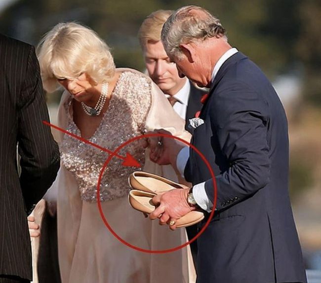 2024年国服第一鳄鱼是谁?他的实力如何? 2024年国服第一鳄鱼是谁?他的实力如何?