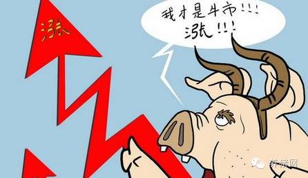 半肉扁鹊的恶心程度如何?它的特点是什么? 半肉扁鹊的恶心程度如何?它的特点是什么?