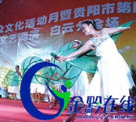 云缨为何不受欢迎?她的魅力在哪里? 云缨为何不受欢迎?她的魅力在哪里?