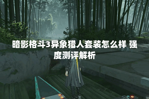 暗影格斗3异象猎人套装怎么样 强度测评解析