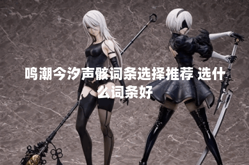 鸣潮今汐声骸词条选择推荐 选什么词条好