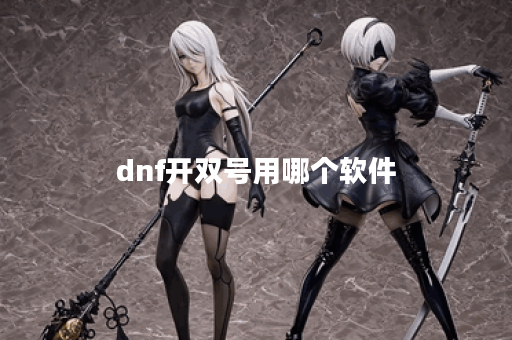 dnf开双号用哪个软件