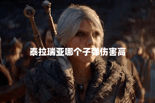 泰拉瑞亚哪个子弹伤害高