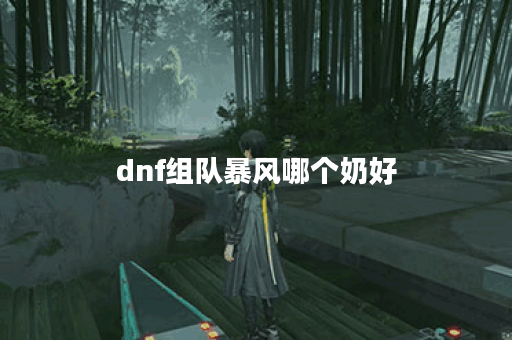 dnf组队暴风哪个奶好