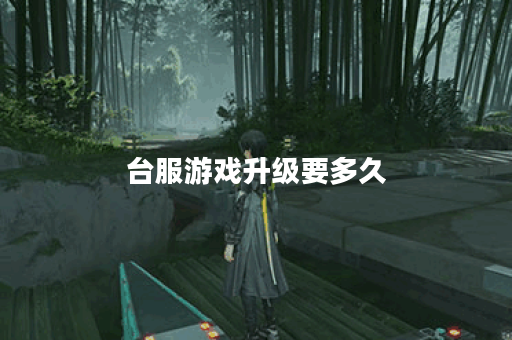 台服游戏升级要多久
