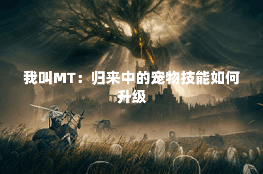 我叫MT：归来中的宠物技能如何升级？