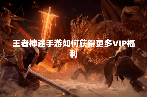 王者神途手游如何获得更多VIP福利? 王者神途手游如何获得更多VIP福利?