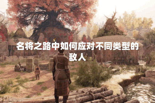 名将之路中如何应对不同类型的敌人? 名将之路中如何应对不同类型的敌人?