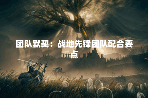 团队默契：战地先锋团队配合要点