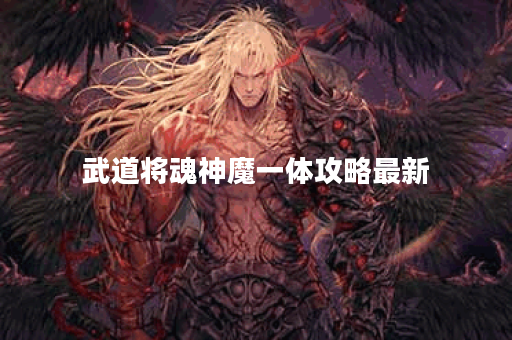 武道将魂神魔一体攻略最新