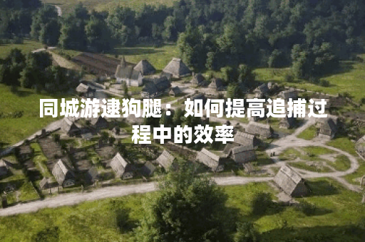 同城游逮狗腿：如何提高追捕过程中的效率？