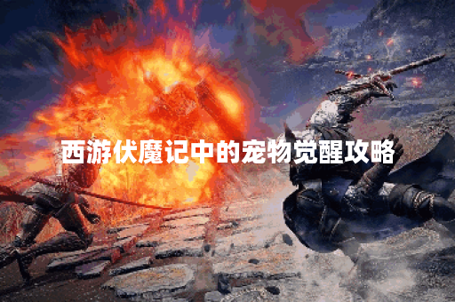 西游伏魔记中的宠物觉醒攻略