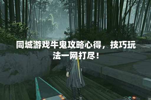 同城游戏牛鬼攻略心得，技巧玩法一网打尽！