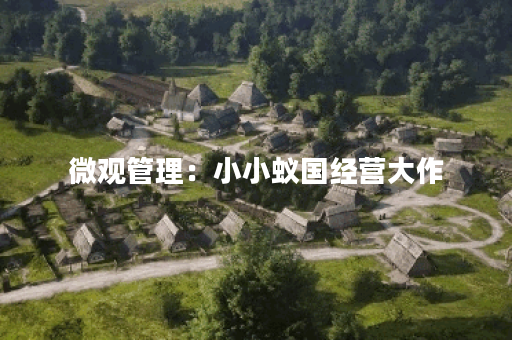 微观管理：小小蚁国经营大作