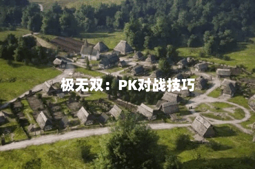 极无双:PK对战技巧 极无双:PK对战技巧