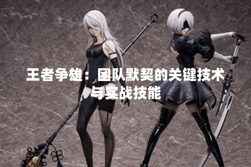 王者争雄：团队默契的关键技术与实战技能