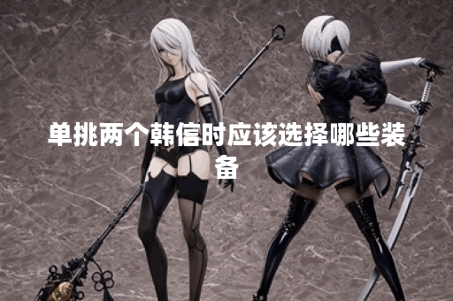 单挑两个韩信时应该选择哪些装备?如何合理搭配出装以应对韩信?