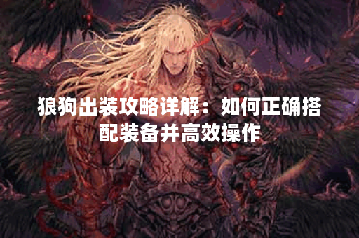 狼狗出装攻略详解：如何正确搭配装备并高效操作？