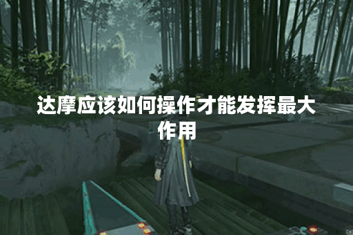 达摩应该如何操作才能发挥最大作用？达摩的装备搭配有何技巧？