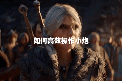 如何高效操作小炮？装备搭配有何技巧？