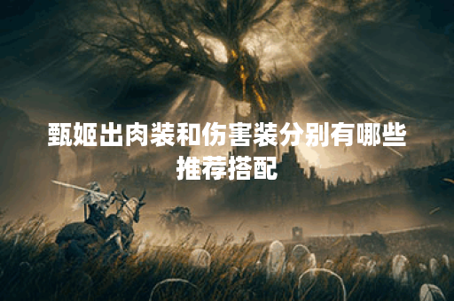 甄姬出肉装和伤害装分别有哪些推荐搭配? 甄姬出肉装和伤害装分别有哪些推荐搭配?