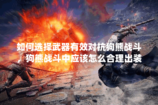 如何选择武器有效对抗狗熊战斗,狗熊战斗中应该怎么合理出装? 如何选择武器有效对抗狗熊战斗,狗熊战斗中应该怎么合理出装?