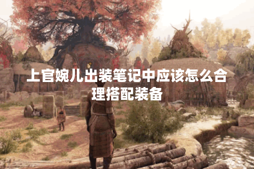 上官婉儿出装笔记中应该怎么合理搭配装备？如何根据对局情况调整上官婉儿的出装策略？