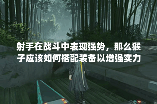 射手在战斗中表现强势，那么猴子应该如何搭配装备以增强实力呢？