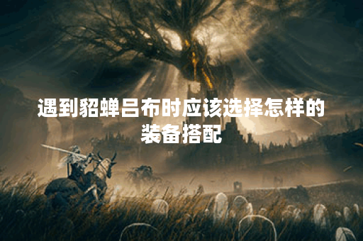 遇到貂蝉吕布时应该选择怎样的装备搭配?如何应对貂蝉吕布的强大组合? 遇到貂蝉吕布时应该选择怎样的装备搭配?如何应对貂蝉吕布的强大组合?