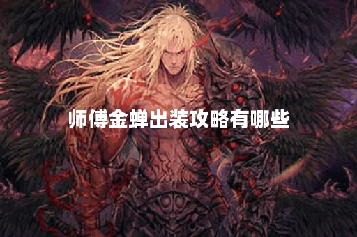 师傅金蝉出装攻略有哪些？如何搭配装备提升战斗力？