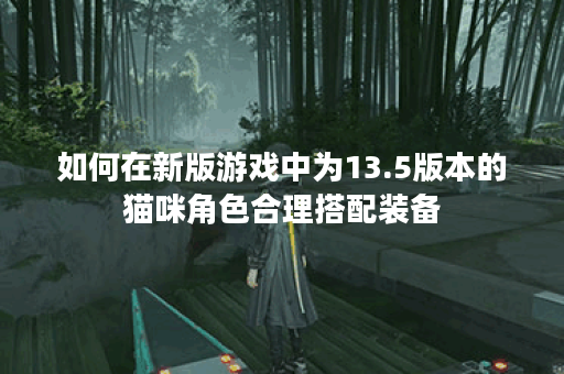 如何在新版游戏中为13.5版本的猫咪角色合理搭配装备？