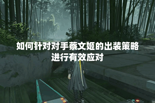 如何针对对手蔡文姬的出装策略进行有效应对？