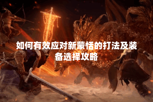 如何有效应对新蒙恬的打法及装备选择攻略？