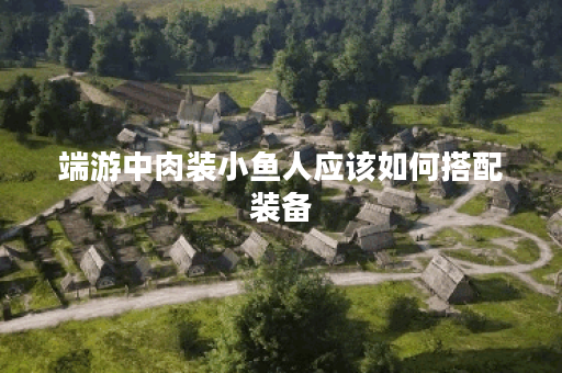 端游中肉装小鱼人应该如何搭配装备？肉装小鱼人的出装攻略有哪些？