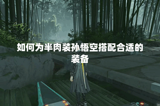 如何为半肉装孙悟空搭配合适的装备？