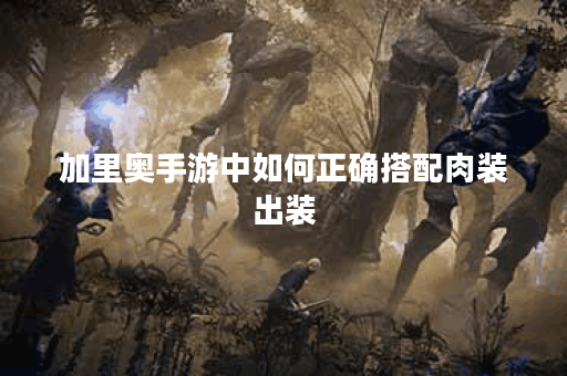 加里奥手游中如何正确搭配肉装出装？肉装出装顺序是怎样的？