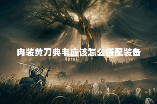 肉装黄刀典韦应该怎么搭配装备?典韦肉装黄刀出装顺序是什么? 肉装黄刀典韦应该怎么搭配装备?典韦肉装黄刀出装顺序是什么?