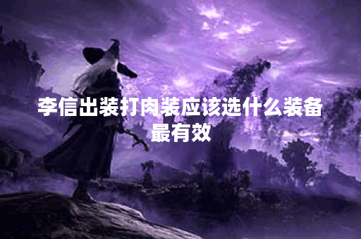 李信出装打肉装应该选什么装备最有效？如何搭配装备才能更好地应对肉装敌人？