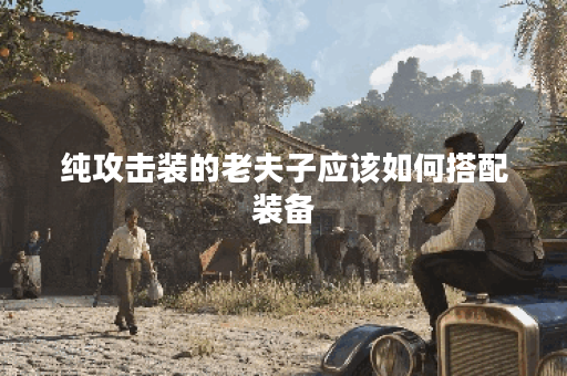 纯攻击装的老夫子应该如何搭配装备？