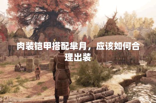 肉装铠甲搭配芈月,应该如何合理出装? 肉装铠甲搭配芈月,应该如何合理出装?